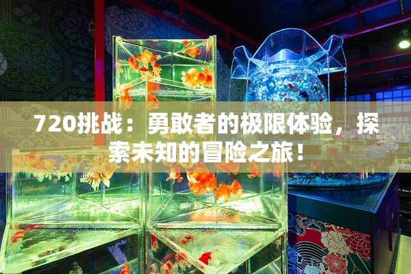 720挑战：勇敢者的极限体验，探索未知的冒险之旅！
