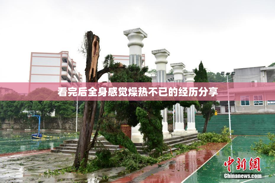看完后全身感觉燥热不已的经历分享