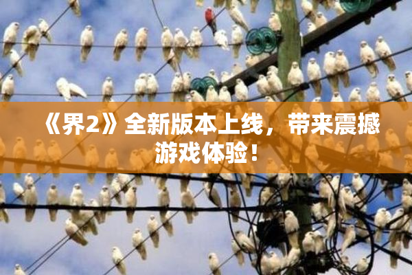 《界2》全新版本上线，带来震撼游戏体验！