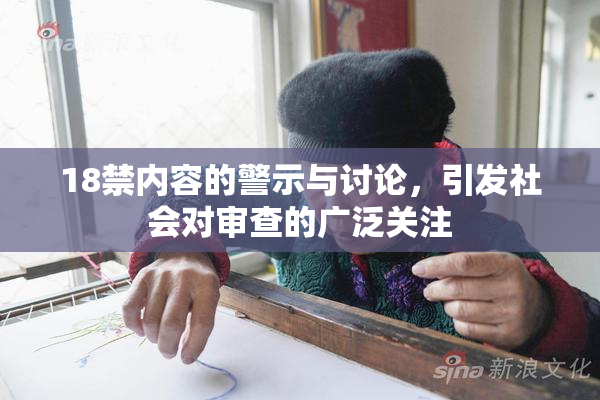 18禁内容的警示与讨论，引发社会对审查的广泛关注