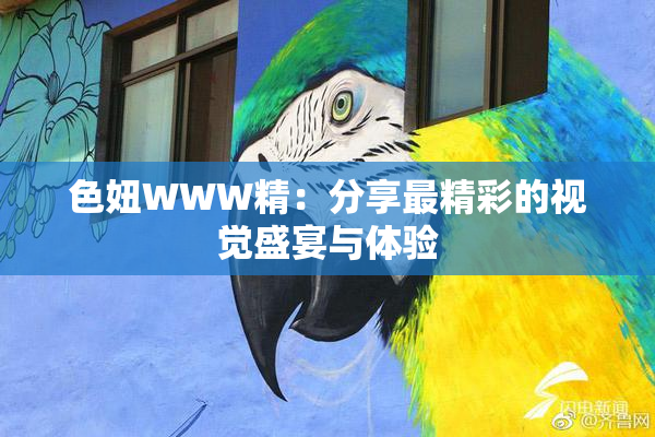 色妞WWW精：分享最精彩的视觉盛宴与体验