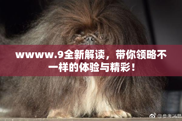 wwww.9全新解读，带你领略不一样的体验与精彩！