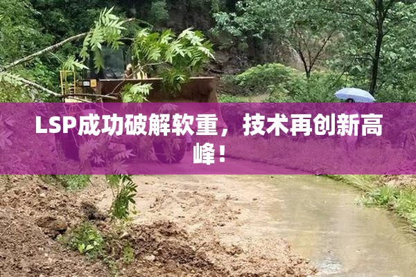 LSP成功破解软重，技术再创新高峰！