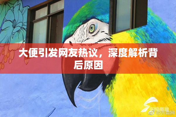 大便引发网友热议，深度解析背后原因