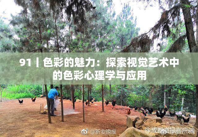 91丨色彩的魅力：探索视觉艺术中的色彩心理学与应用