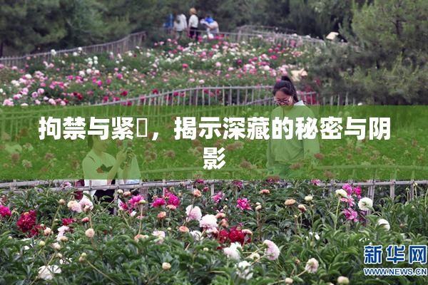 拘禁与紧縛，揭示深藏的秘密与阴影