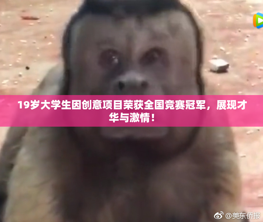 19岁大学生因创意项目荣获全国竞赛冠军，展现才华与激情！