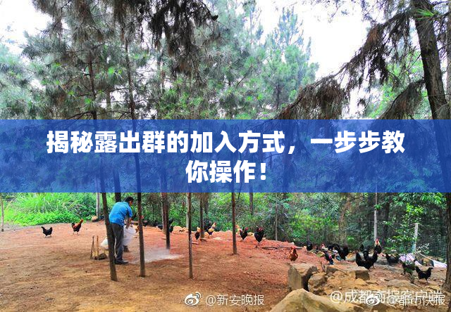 揭秘露出群的加入方式，一步步教你操作！