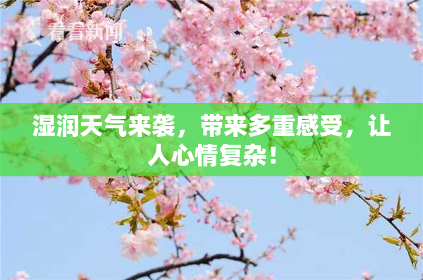 湿润天气来袭，带来多重感受，让人心情复杂！