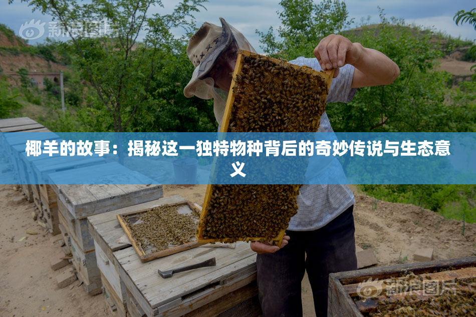 椰羊的故事：揭秘这一独特物种背后的奇妙传说与生态意义