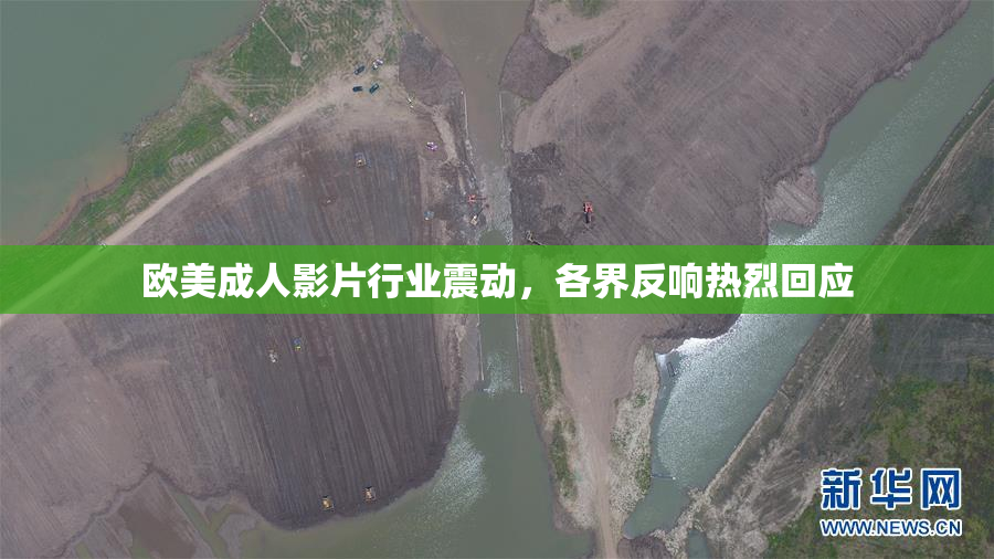 欧美成人影片行业震动，各界反响热烈回应