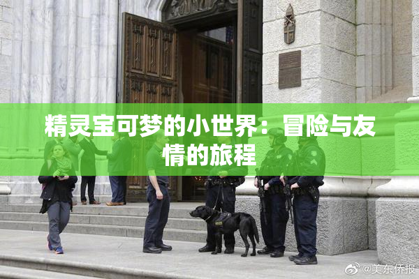 精灵宝可梦的小世界：冒险与友情的旅程