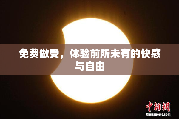 免费做受，体验前所未有的快感与自由