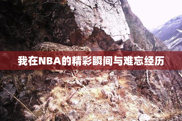 我在NBA的精彩瞬间与难忘经历