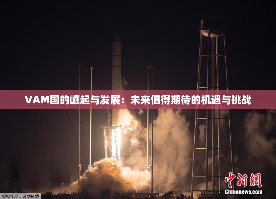 VAM国的崛起与发展：未来值得期待的机遇与挑战