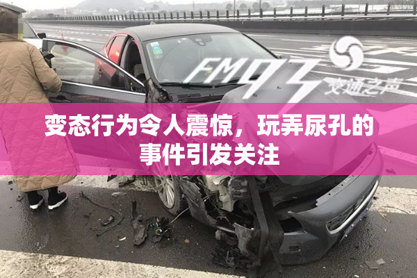 变态行为令人震惊，玩弄尿孔的事件引发关注