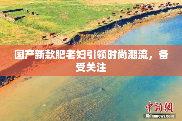 国产新款肥老妇引领时尚潮流，备受关注