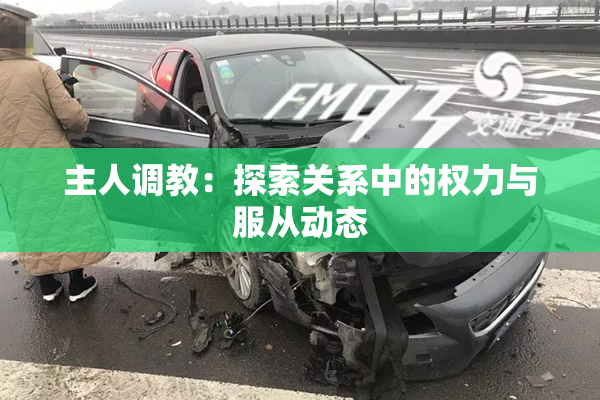 主人调教：探索关系中的权力与服从动态