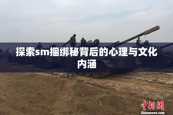 探索sm捆绑秘背后的心理与文化内涵