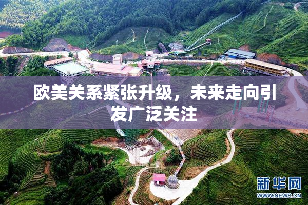 欧美关系紧张升级，未来走向引发广泛关注