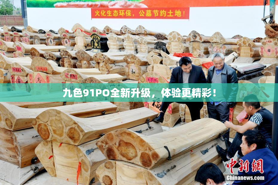 九色91PO全新升级，体验更精彩！