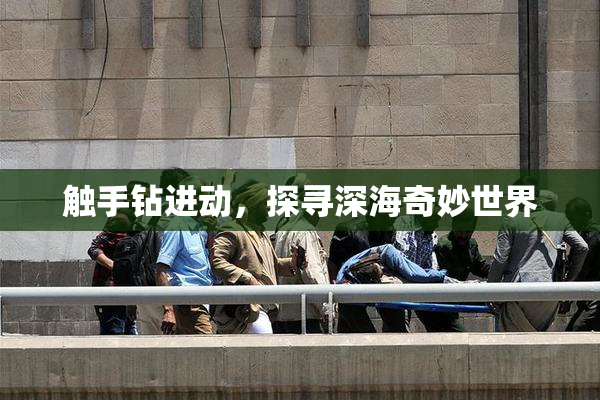 触手钻进动，探寻深海奇妙世界