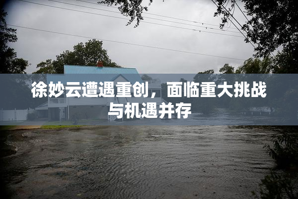徐妙云遭遇重创，面临重大挑战与机遇并存