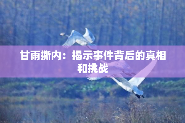 甘雨撕内：揭示事件背后的真相和挑战