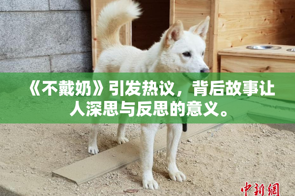《不戴奶》引发热议，背后故事让人深思与反思的意义。