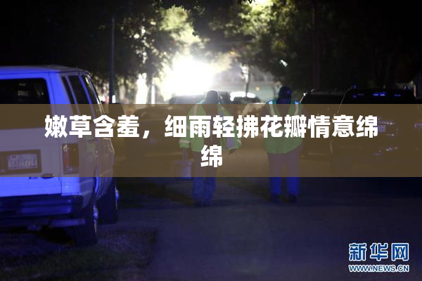 嫩草含羞，细雨轻拂花瓣情意绵绵