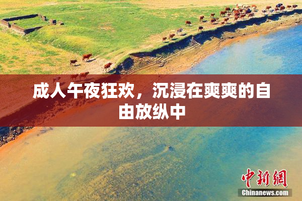 成人午夜狂欢，沉浸在爽爽的自由放纵中