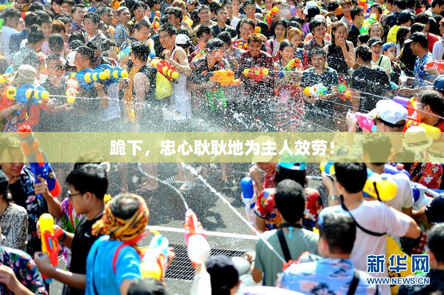 跪下，忠心耿耿地为主人效劳！