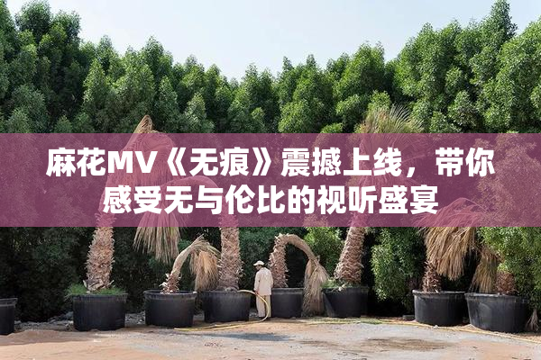 麻花MV《无痕》震撼上线，带你感受无与伦比的视听盛宴
