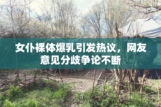 女仆裸体爆乳引发热议，网友意见分歧争论不断