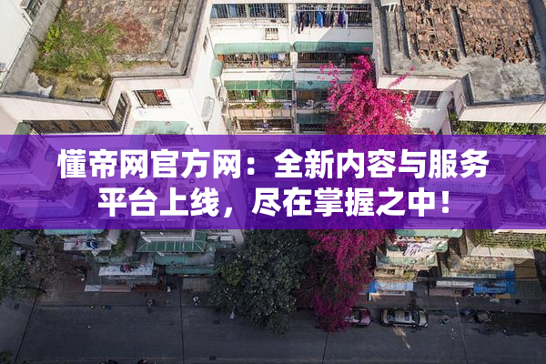 懂帝网官方网：全新内容与服务平台上线，尽在掌握之中！