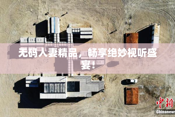 无码人妻精品，畅享绝妙视听盛宴！