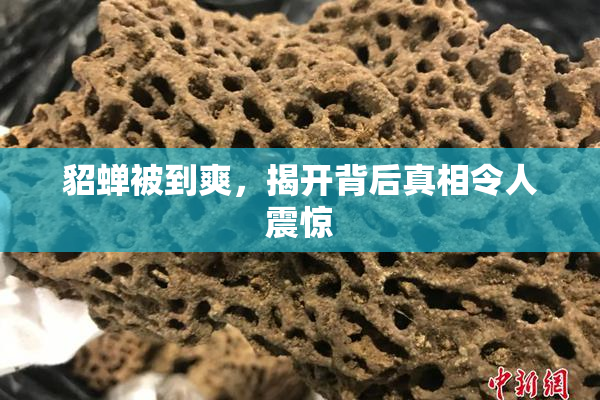 貂蝉被到爽，揭开背后真相令人震惊