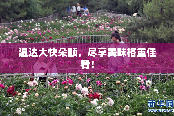温达大快朵颐，尽享美味格重佳肴！