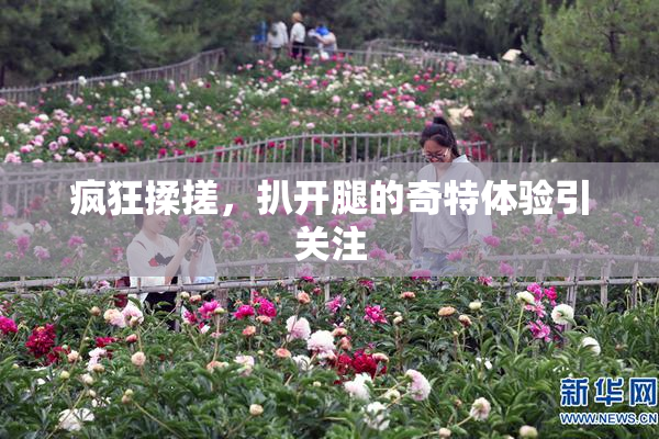 疯狂揉搓，扒开腿的奇特体验引关注