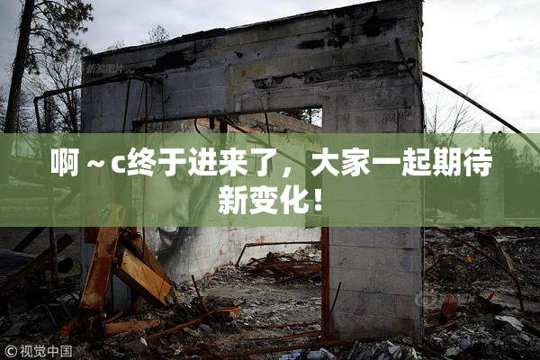 啊～c终于进来了，大家一起期待新变化！