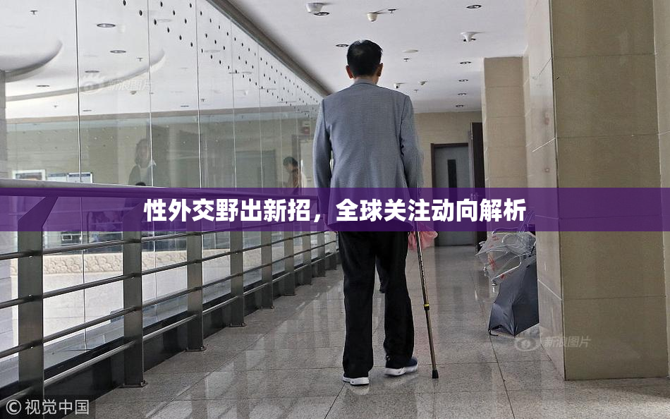 性外交野出新招，全球关注动向解析