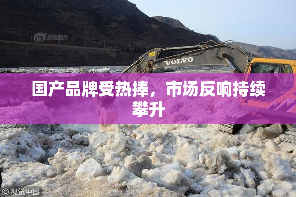 国产品牌受热捧，市场反响持续攀升