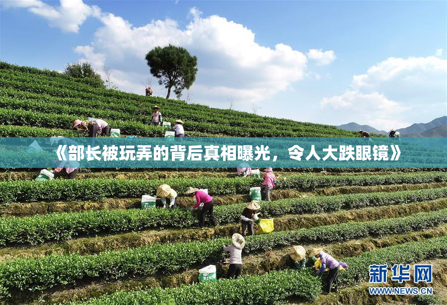 《部长被玩弄的背后真相曝光，令人大跌眼镜》