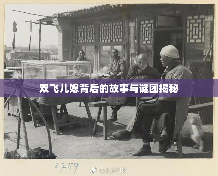 双飞儿媳背后的故事与谜团揭秘