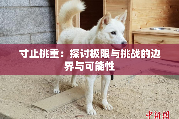 寸止挑重：探讨极限与挑战的边界与可能性