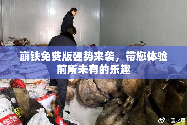 崩铁免费版强势来袭，带您体验前所未有的乐趣