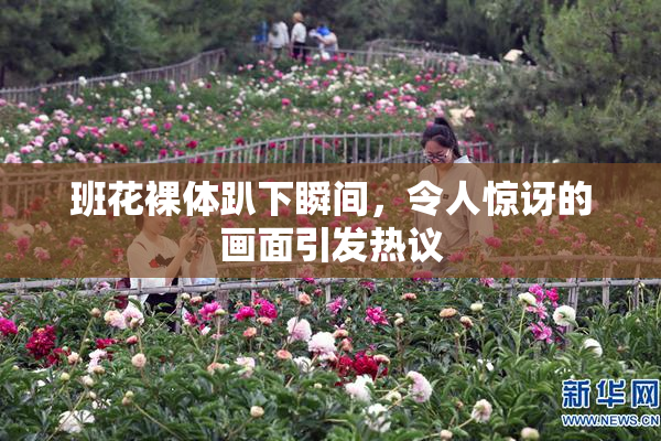 班花裸体趴下瞬间，令人惊讶的画面引发热议