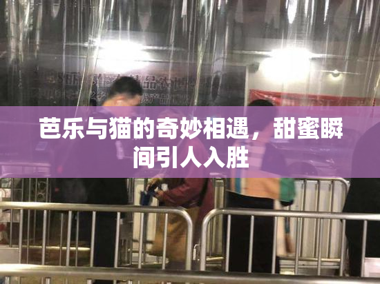 芭乐与猫的奇妙相遇，甜蜜瞬间引人入胜