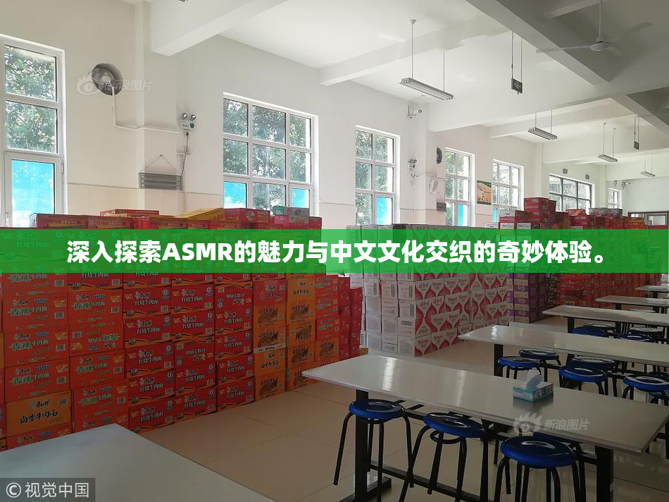 深入探索ASMR的魅力与中文文化交织的奇妙体验。