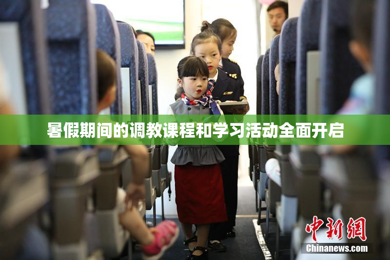 暑假期间的调教课程和学习活动全面开启